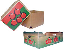 Prima 2000 Äpfel, Birnen, Pflaumen, Fruchtexport, Gemüse 14